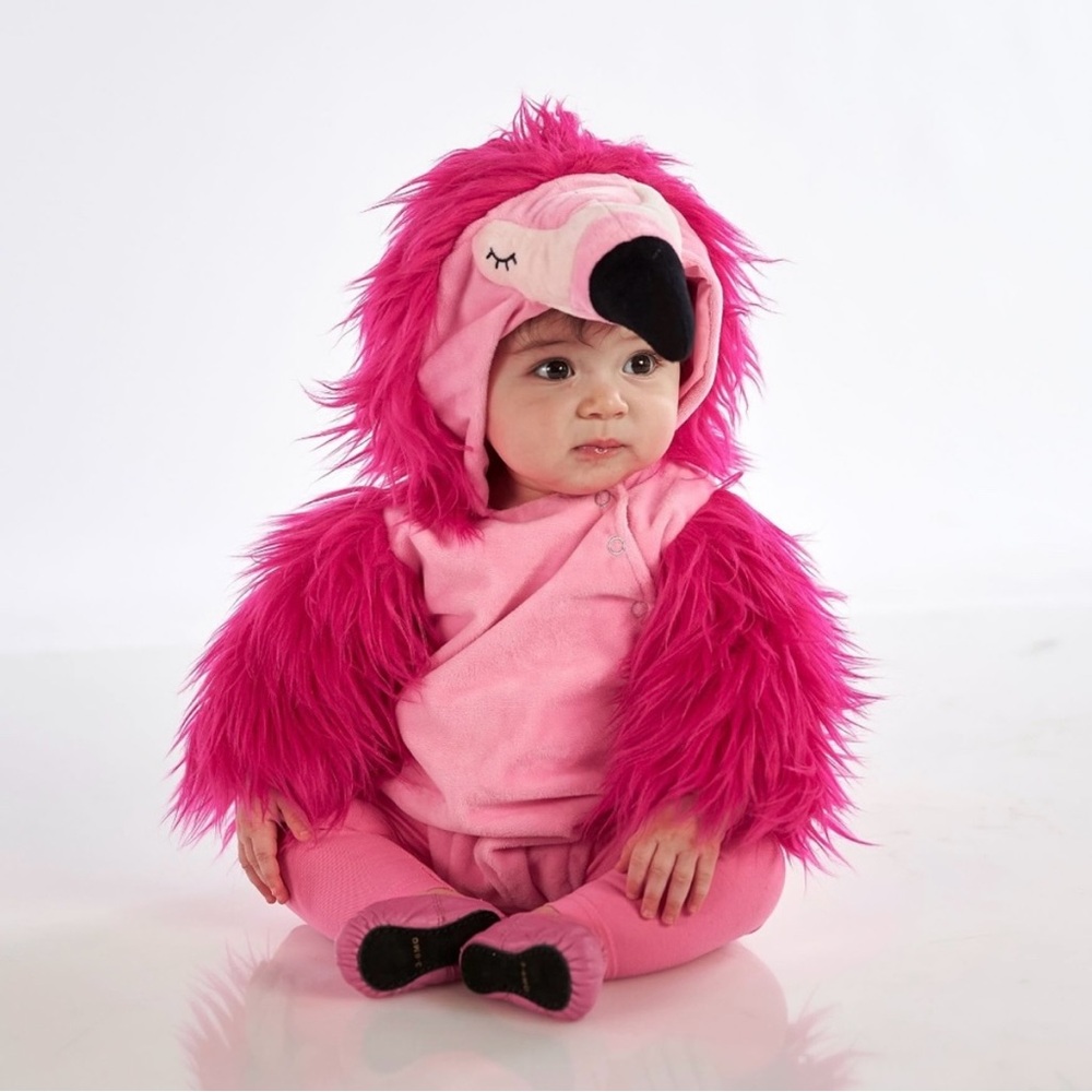Pottery Barn Kids Fuchsia Flamingo Costume